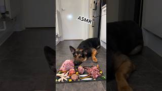 Deconstructed Lamb Feast 🐑🥩🧠🫁🫀🐟🥕🥦🥭🍎🍉 asmr [upl. by Annhej759]