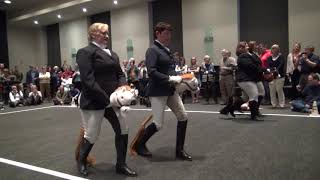 Stick Horse Dressage HIGHLIGHTS [upl. by Oremo]