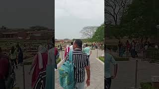 dil ko pata tha na shortvideo viral tranding vlog delhi lotastqmpal viralvideo [upl. by Bora]