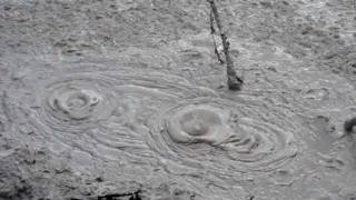 Bubbling Mud [upl. by Virgilio]