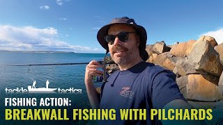 Breakwall Fishing with Pilchards for Tailor Australian Salmon and Flathead [upl. by Etnoid]