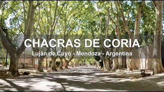 Calles y Ciclovías de Chacras de Coria  Luján de Cuyo  Mendoza  Argentina [upl. by Lien745]