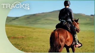 Mongolia The Worlds Longest Horse Race  All The Wild Horses  TRACKS [upl. by Gnoc]