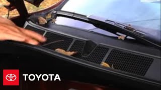 2008  2009 Tundra HowTo Climate Control Tips  Toyota [upl. by Stubstad]