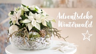 DIY Adventsdeko Winterwald mit Weihnachtssternen [upl. by Dowd]