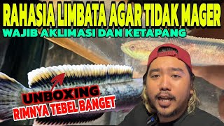 UNBOXING‼️LIMBATA RIM TEBEL TANGKAPAN ALAM ⁉️ [upl. by Narag]