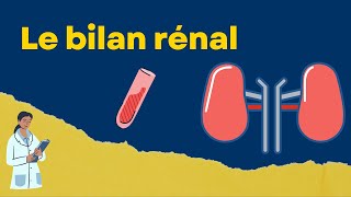 Interpréter un bilan rénal créatinine et urée [upl. by Haikan]