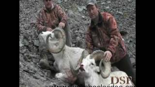 Dall Sheep Hunting New Release high light reel for Dall Sheep Hunting video [upl. by Aerdnak]