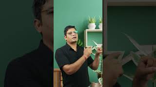 3 Best Homeopathic Medicines for Urethral Stricture  Dr Sunil Patidar urethra [upl. by Lochner27]