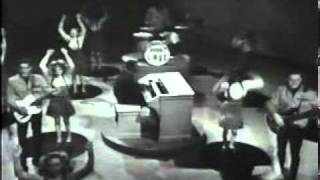 Booker T amp the MGs  Green Onions  Shindig 1966 [upl. by Jennine320]