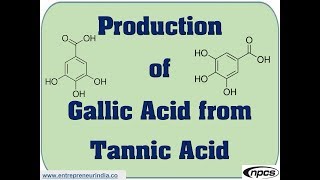 Production of Gallic Acid from Tannic Acid [upl. by Nnaeus]