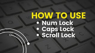 How To Use Num Lock Button  How To Use Scroll Lock Button  How To Use Caps Lock Button Tutorial [upl. by Seko673]