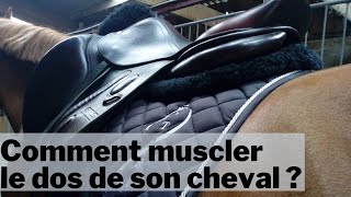 Comment muscler le dos de son cheval [upl. by Rratsal]