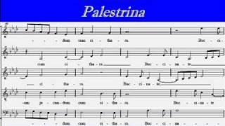 Exultate Deo  Palestrina  Alto 1 [upl. by Aubrette]