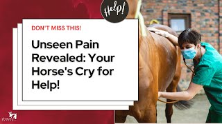 Is Your Horse Suffering Silently Shed Light on Your Horses Hidden Pain [upl. by Mella128]