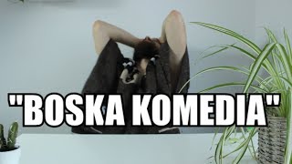 Streszczenia lektur  quotBoska komediaquot [upl. by Pesek112]