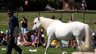 Festival Aurillac 2019 La tournée du Facteur  version longue [upl. by Etnemelc]