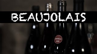 Beaujolais Wines [upl. by Aer]