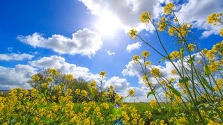 Weerbericht woensdagochtend 25 graden in zicht [upl. by Einahpts712]