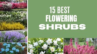 TOP 15 Best Flowering Shrubs for Home Garden Shrubs for Shaded Area  Flowering Shrubs with Privacy [upl. by Macilroy]