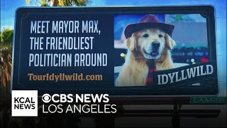 Heading to the Inland Empire to meet Idyllwilds quotpawliticianquot Mayor Max  Lets Go Places [upl. by Ahsoyek]