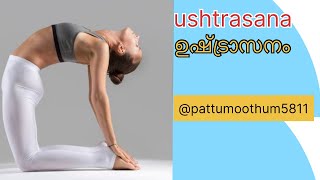 021124 പതഞ്ജലി യോഗ ushtrasana ഉഷ്ട്രാസനം [upl. by Janenna649]