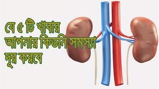 যে ৫টি খাবার নিয়মিত খেলে আজীবন কিডনি সুস্থ থাকবে  Kidney Valo Rakhar Upay [upl. by Glynas]