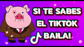 Tendencias de TIK TOK 2021 🥰 si te sabes el tik tok baila💃🏻 [upl. by Vareck]