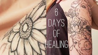 TATTOO HEALING STAGES [upl. by Heintz]