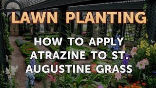 How to Apply Atrazine to St Augustine Grass [upl. by Vera265]