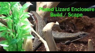 Sudan Plated Lizard Scape  Back into the swing of things  Mental Health Day [upl. by Bibah]