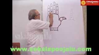 PALMISTRY PART  5 IN HINDI [upl. by Botzow]