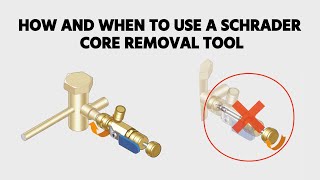 How and When to Use a Schrader Core Removal Tool [upl. by Nelra]