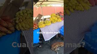 Quieres anonas elsalvador anonas zapotes mangos jocotes nances durasnos frutastropicales [upl. by Yahiya]