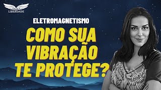 MAGNETISMO TERRESTRE E VOCÊ Conectando ciência e Lei da atração [upl. by Eneleoj]