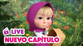 🔴 LIVE 🐻👧 Masha y el Oso 💥 NUEVO CAPÍTULO 🍓🐸 Bayas Traviesas 🎬 Masha and the Bear [upl. by Mercy]