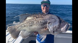 IFISH Geraldton jigging for Coral Trout amp Dhufish [upl. by Gintz522]