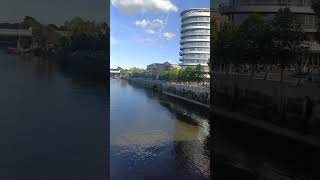 putney bridge view sunnyday london riverthames [upl. by Guzel]