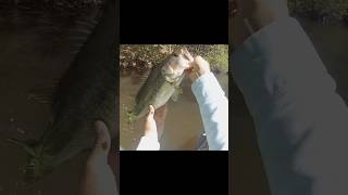 Kayak Fishing in Georgia 🎣 bassfishing largemouthbassin fishing largemouthnation sportfishing [upl. by Kcarb314]