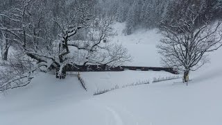 Skitour Steiner Alm 1027m  Berchtesgadener Land [upl. by Slaughter]