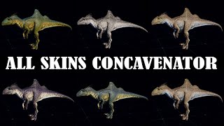 ALL NEW SKINS CONCAVENATOR  JURASSIC WORLD EVOLUTION 2 [upl. by Namso]