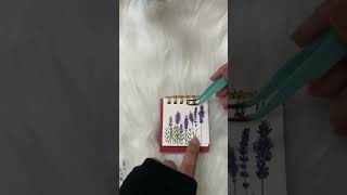 Lavender blossom 🌸 shorts journaling [upl. by Kaitlynn]