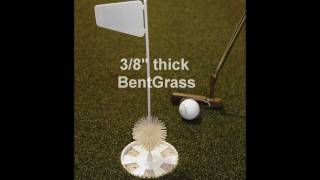 Master Green BentGrass Putting Mat [upl. by Oniliuqnart]