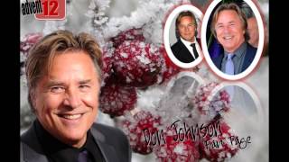 DON JOHNSON FAN PAGE ON FACEBOOKS ADVENT CALENDAR 2013 [upl. by Sandeep437]