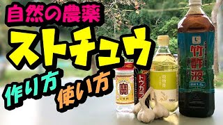 【家庭菜園】無農薬栽培におすすめ【無農薬農薬 「ストチュウ」害虫駆除＋土壌殺菌＋栄養液肥の簡単な作り方】 [upl. by Grimonia599]