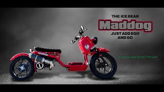 2022 Icebear Maddog 50CC Generation 5 600 MIle review [upl. by Anaib929]