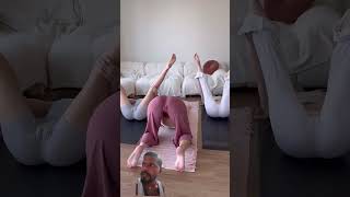 Flipping my dog 🤸‍♀️ yogadownwarddog threeleggeddog bridge balance [upl. by Eilra]