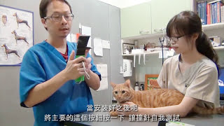 TONOVET 恩典朱淵源 操作簡介與運用時機 Measuring cats IOP [upl. by Avery532]