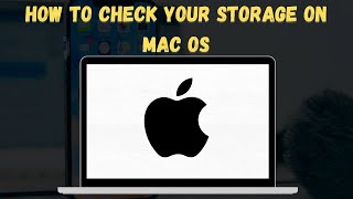 How To Check Your Storage On Mac OS 2024 💽 Free Up Space FAST [upl. by Ellennoj]