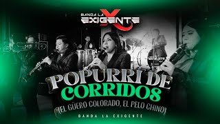 Popurrí de Corridos El Güero Colorado El Pelo Chino  Banda La Exigente [upl. by Hildie]